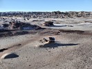 photo thumbnail #7