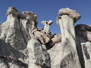 photo thumbnail #8