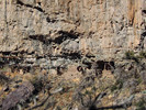 photo thumbnail #12