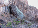 photo thumbnail #15