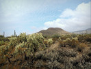 photo thumbnail #1