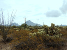 photo thumbnail #3