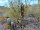 photo thumbnail #11