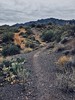photo thumbnail #4