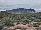 photo thumbnail #1