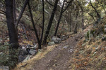 photo thumbnail #6