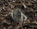 photo thumbnail #10