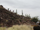 photo thumbnail #1