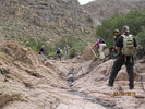 photo thumbnail #6