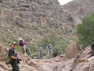 photo thumbnail #7