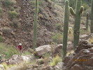 photo thumbnail #11