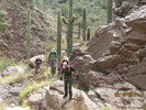 photo thumbnail #12