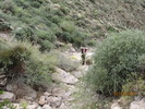 photo thumbnail #8