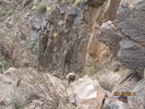 photo thumbnail #15