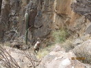 photo thumbnail #13