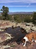 photo thumbnail #1