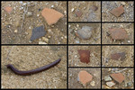 photo thumbnail #6