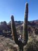 photo thumbnail #1