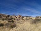 photo thumbnail #15