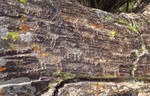 photo thumbnail #6