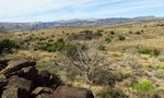 photo thumbnail #8