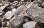photo thumbnail #10