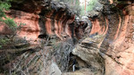photo thumbnail #7