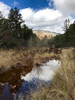 photo thumbnail #14