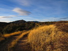 photo thumbnail #2