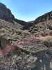 photo thumbnail #11