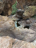 photo thumbnail #10