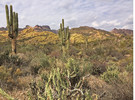 photo thumbnail #14