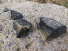 2018-02-18 :1: Goldfield Combo :: trekkin_gecko