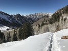 photo thumbnail #4