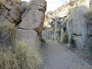 photo thumbnail #7