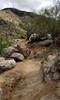 photo thumbnail #3