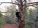 photo thumbnail #6