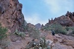 photo thumbnail #4