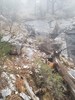 photo thumbnail #15