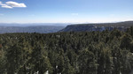 photo thumbnail #12