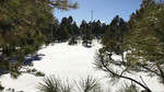 photo thumbnail #14