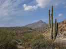 photo thumbnail #6