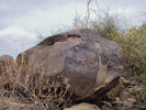 photo thumbnail #7