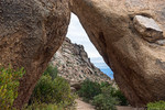 photo thumbnail #9