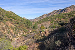 photo thumbnail #2