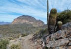 photo thumbnail #3