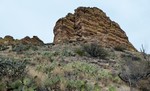 photo thumbnail #14