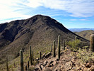 photo thumbnail #9