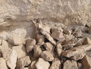 photo thumbnail #12