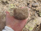 photo thumbnail #13